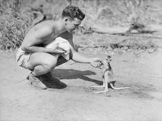 All sizes | An American soldier with a joey, 1942 | Flickr - Photo Sharing! #ww2 #war #world #soldier #two #kangaroo #memorial #joey #australian #historic