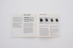 » Braun Audio User Manual Flickrgraphics #design #graphic #book
