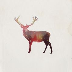 RichieSwims #photo #deer #nature #illustration