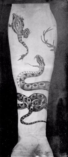 Tatted Up In Victorian Times: Fascinating Photos Show The Work Of One Of Britian's First Tattoo Artists Sutherland Macdonald