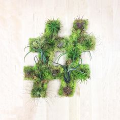 "Hashtag" Garden #sculpture #airplants #hashtaggarden #gifts #succulents #hashtag #art #artweheart #moss #green