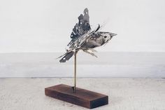 The Collective Loop #wili #sculpture #highfields #birds #animals #anna #paper