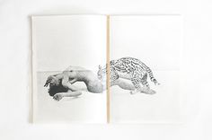 Seghe Massimiliano Pace #design #sexuality #erotic #book #seghe #sex #editorial