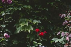 Photography by Julia Robbs #inspiration #photography #travel