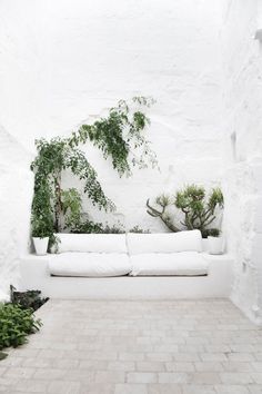 White Mediterranean garden. Ca Marichín by Marina Senabre Roca. #garden #mediterranean