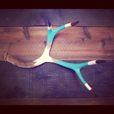 Just finished #diy #painted #antlers (Taken with Instagram)