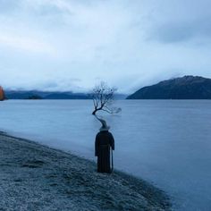 #GandalfTheGuide: Akhil Suhas Explores New Zealand with Gandalf Costume