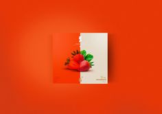 El Aristo® #diseo #apple #red #packaging #argentina #design #color #minimalism #simple #strawberry #brand #tea #pure #pack #logo #lemon #buenos #aires