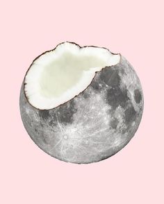 coconut moon