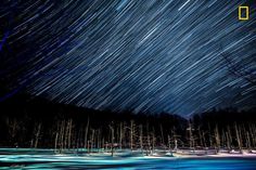 Blue pond, the stellar sky by Nao Akimoto