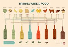 Wine Pairing Chart Infographic #infographic #wine