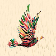 www.santtumustonen.com #colour #bird
