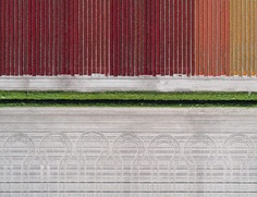 The Tulip Series: The Netherlands From Above by Tom Hegen