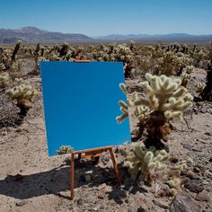 kukla 2 #abstract #illusion #mirror #photography #painting #art #desert