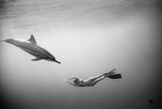 Black and White Underwater Photography by Wayne Levin #inspiration #white #black #photography #and
