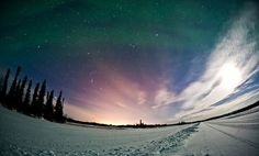 Northern Lights by Dave Brosha #inspiration #photography #light