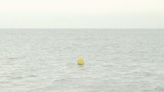 //// #yellow #photography #seaside #sea