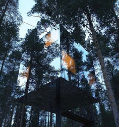 Treehotel, Sweden « These Old Colors #design #architecture #treehotel #nature
