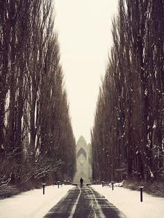 Kim Holtermand #path #trees #photography #snow