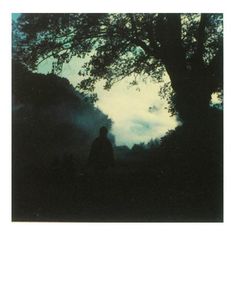 Spilt Milk Andrei Tarkovsky's Polaroids #andrei #photography #cinema #tarkovsky #poloroid