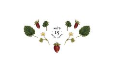 The Parkhagen Wedding, by Cecilia Hedin #strawberries #wedding #flowers #invitation