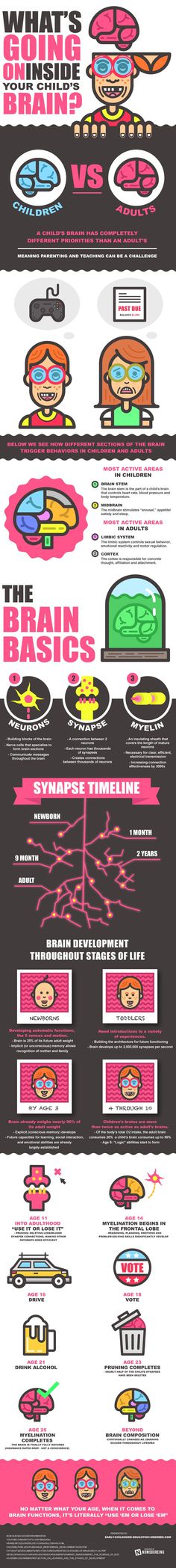 This infographic details the mysteries of human brain development. #development #infographic #childhood #brain