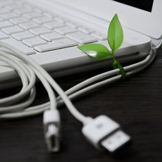 Leaf Cable Tie by Tsunho Wang #gadget