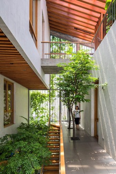 Trees envelop Stepping Park House by Vo Trong Nghia Architects