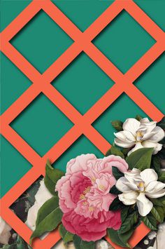 Posters : Adrineh Asadurian #camellia #lattice #magnolia #poster #flowers