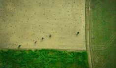 Gorgeous Scenes Of Bangladesh From Above by Shamim Shorif Susom