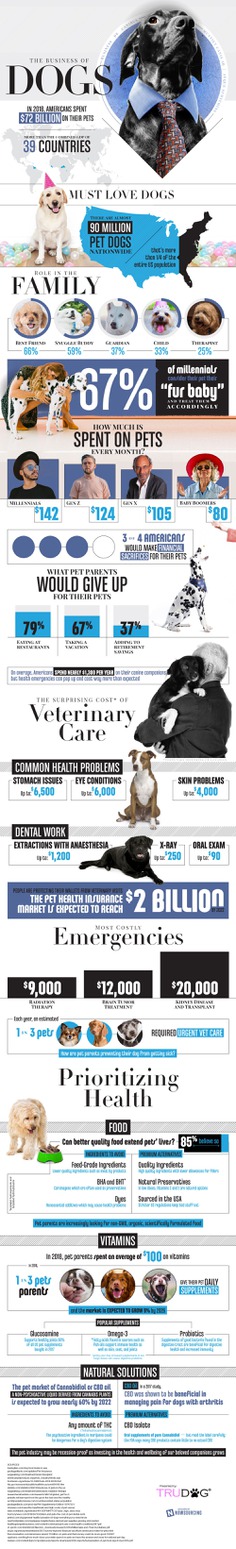 The Business Of Dogs Infographic Health Nutrition - you can't put a price on man's best friend