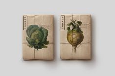 Puree branding & packaging by Studio Ahamed #logo #vegetable #clean #illustration #old look