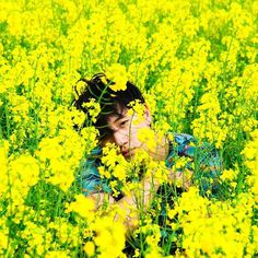 Canola, Humming Bird, Boy. #boy #yellow #photography #flower #canola