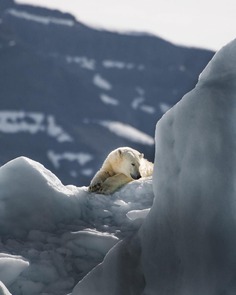 The Silent Arctic Photographic Expedition in Greenland by Joe Shutter