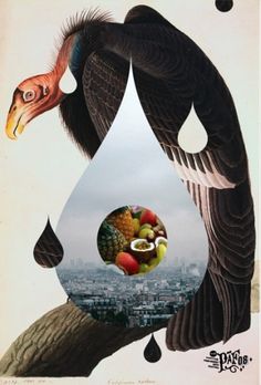 General Projects -- Miscellaneous #vulture #poster