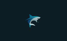 Logo shark #logo