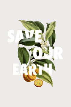 Save our Earth