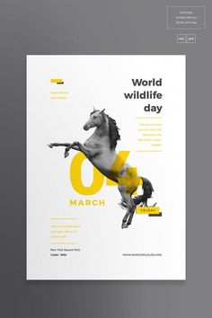 Posters | World Wildlife