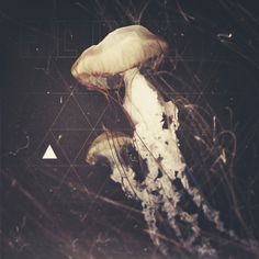 Fluid Art Print #geometry #jellyfish #triangle #photography #typography