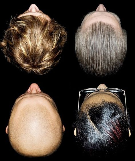 Ткань на голове название. Что такое 7 головы. Что такое 7 головы. Голова человека анфас. Зоны и проборы головы для парикмахеров.