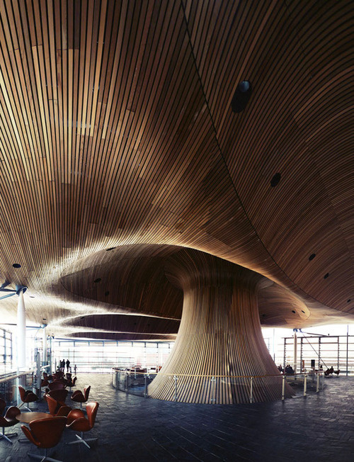 CJWHO ™ (National Assembly for Wales by Richard Rogers ...) #construction #design #wood #architecture #wales