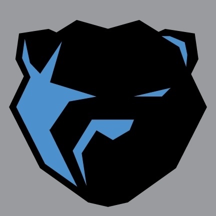 Noah Mooney Design #logo #bear #branding