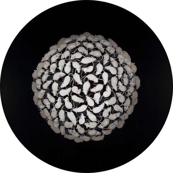 Surreal Wildlife Paintings by Tiffany Bozic #illustration #mice #sphere #painting