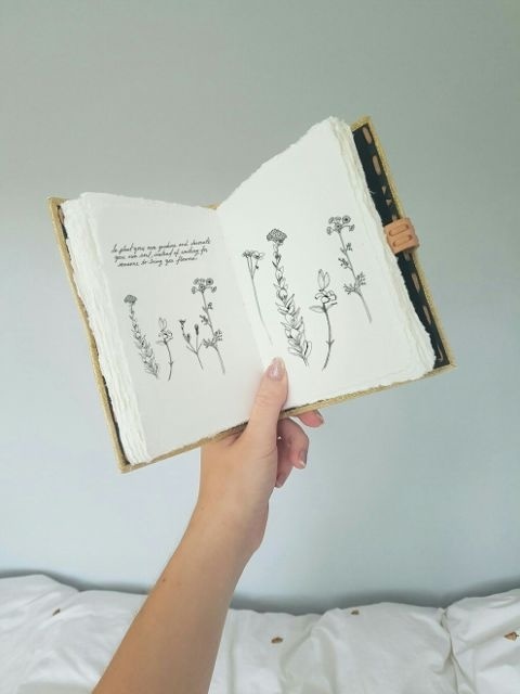 #photography#editorial#book#drawing#plants