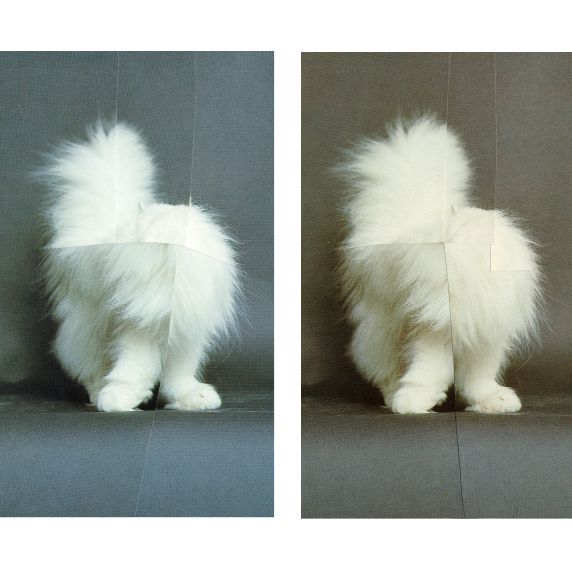 Isabel Reitemeyer . Collage : Photo