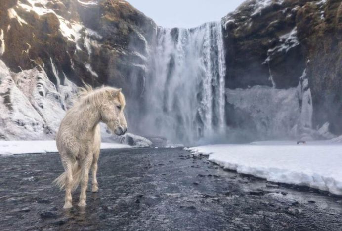 Wild Iceland by E. Arencibia