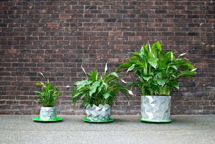 origami-pot that grows with the plant
