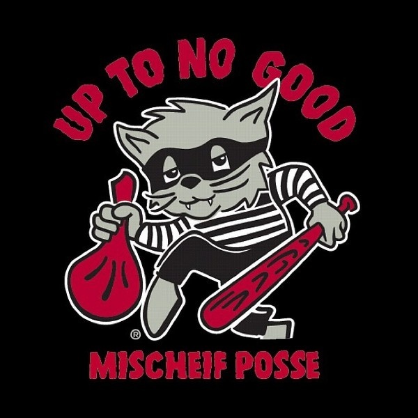 utng on Instagrid.me | The Best Way to View Instagram Photos #branding #cat #nogood #to #illustration #brand #up #type #good #no #typography