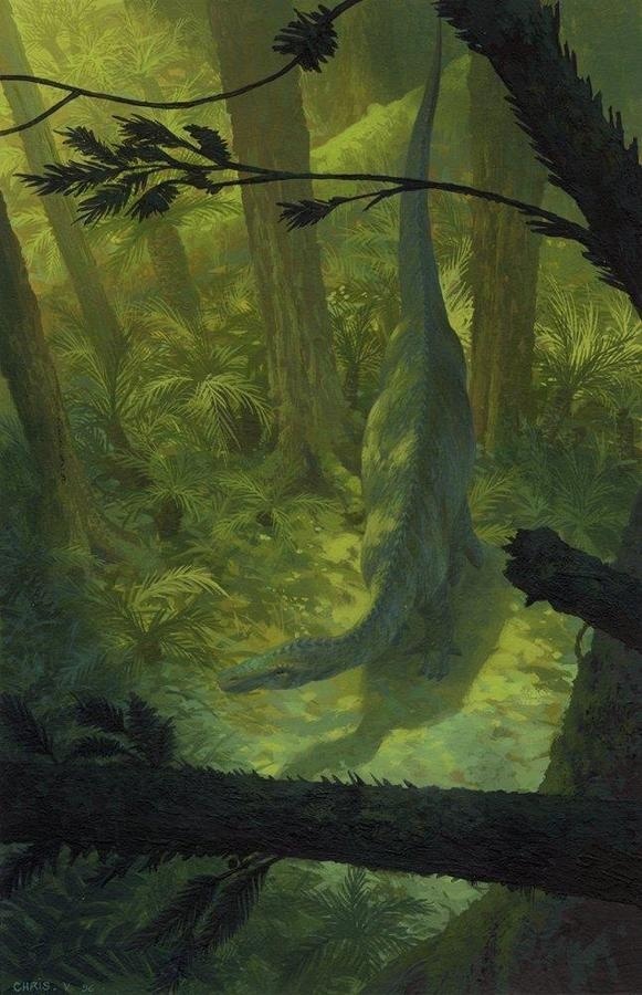 Dinosaur3 by christophe vacher #illustration #painting #dinosaur #forest #trees
