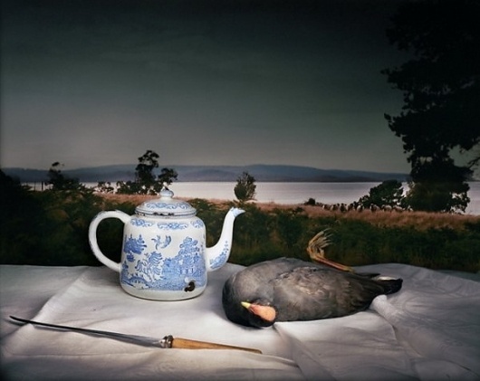 Photography by Marian Drew » Creative Photography Blog #photography